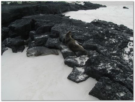 rimg0470.jpg Galapagos Islands, Ecuador, Charles Darwin, Evolution