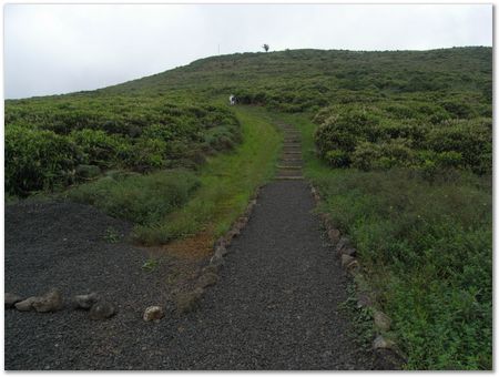 rimg0480.jpg Galapagos Islands, Ecuador, Charles Darwin, Evolution