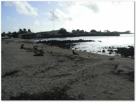 rimg0482.jpg Galapagos Islands, Ecuador, Charles Darwin, Evolution