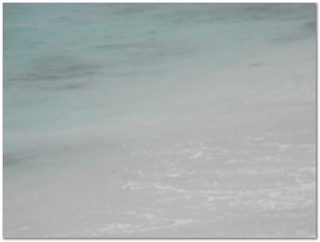 rimg0485.jpg Galapagos Islands, Ecuador, Charles Darwin, Evolution