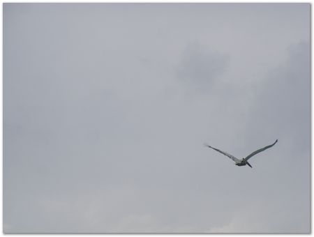 rimg0489.jpg Galapagos Islands, Ecuador, Charles Darwin, Evolution