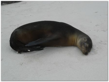 rimg0490.jpg Galapagos Islands, Ecuador, Charles Darwin, Evolution