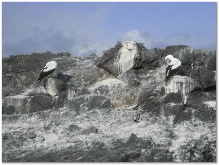 rimg0531.jpg Galapagos Islands, Ecuador, Charles Darwin, Evolution