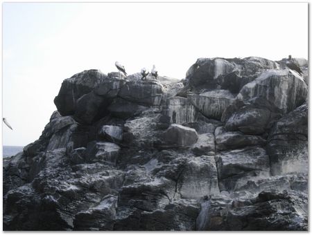 rimg0532.jpg Galapagos Islands, Ecuador, Charles Darwin, Evolution