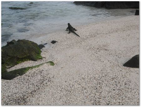 rimg0549.jpg Galapagos Islands, Ecuador, Charles Darwin, Evolution