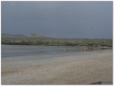 rimg0553.jpg Galapagos Islands, Ecuador, Charles Darwin, Evolution