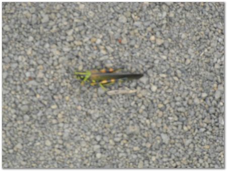 rimg0559.jpg Galapagos Islands, Ecuador, Charles Darwin, Evolution