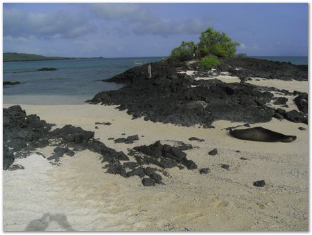 rimg0562.jpg Galapagos Islands, Ecuador, Charles Darwin, Evolution