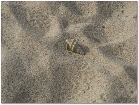 rimg0563.jpg Galapagos Islands, Ecuador, Charles Darwin, Evolution