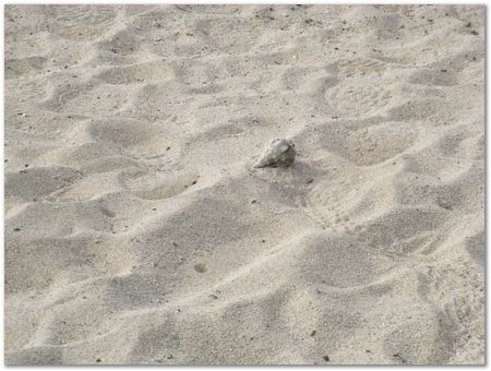 rimg0564.jpg Galapagos Islands, Ecuador, Charles Darwin, Evolution