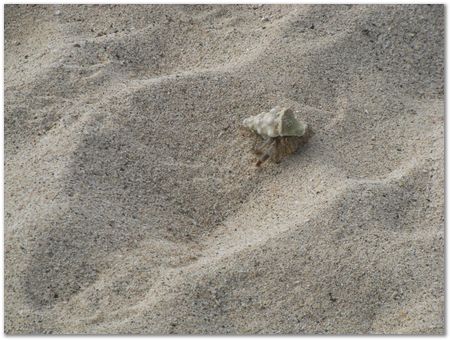 rimg0565.jpg Galapagos Islands, Ecuador, Charles Darwin, Evolution