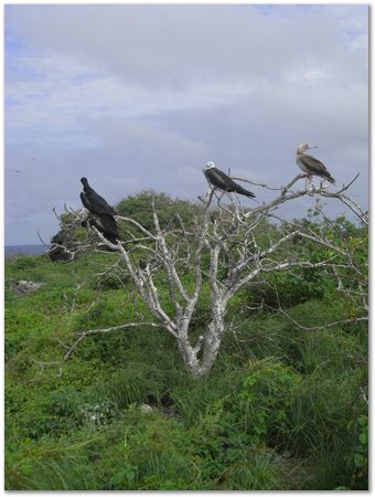 rimg0593.jpg Galapagos Islands, Ecuador, Charles Darwin, Evolution