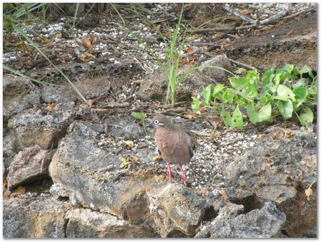 rimg0602.jpg Galapagos Islands, Ecuador, Charles Darwin, Evolution
