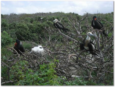 rimg0635.jpg Galapagos Islands, Ecuador, Charles Darwin, Evolution
