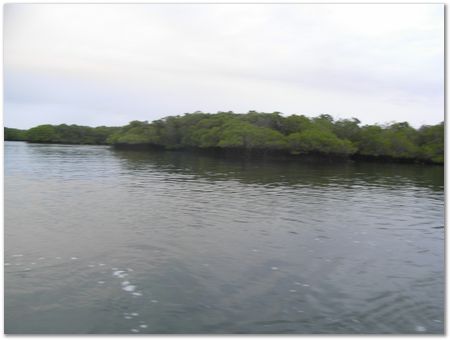 rimg0639.jpg Galapagos Islands, Ecuador, Charles Darwin, Evolution