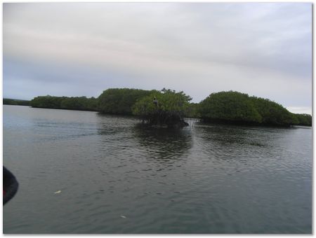 rimg0641.jpg Galapagos Islands, Ecuador, Charles Darwin, Evolution