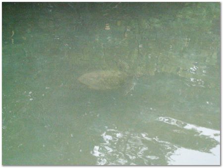 rimg0650.jpg Galapagos Islands, Ecuador, Charles Darwin, Evolution