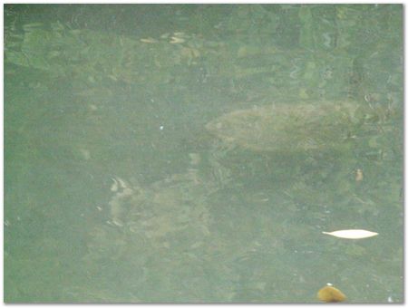 rimg0651.jpg Galapagos Islands, Ecuador, Charles Darwin, Evolution