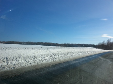 MISiS, National University of Science and Technology,Tomsk, Russian Federation, Siberia, Harry Bhadeshia, Lindsey Greer, phase transformations and complex properties research group