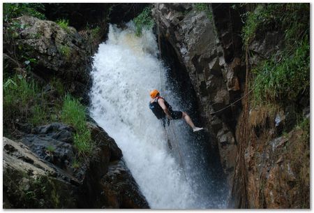 11151004_975791799120435_8280390327479923964_n.jpg Wilberth Alvarez-Solano, Vietnam, Cambodia, Laos, elephants