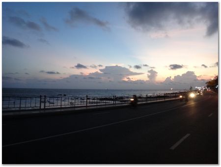 dsc02445.jpg Wilberth Alvarez-Solano, Vietnam, Cambodia, Laos, elephants