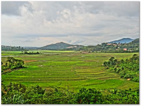 dsc02469.jpg Wilberth Alvarez-Solano, Vietnam, Cambodia, Laos, elephants