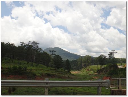 dsc02476.jpg Wilberth Alvarez-Solano, Vietnam, Cambodia, Laos, elephants