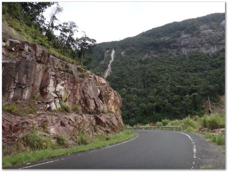 dsc02481.jpg Wilberth Alvarez-Solano, Vietnam, Cambodia, Laos, elephants