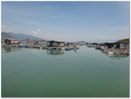 dsc02492.jpg Wilberth Alvarez-Solano, Vietnam, Cambodia, Laos, elephants