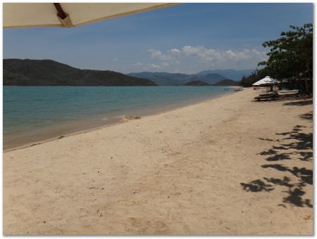 dsc02505.jpg Wilberth Alvarez-Solano, Vietnam, Cambodia, Laos, elephants