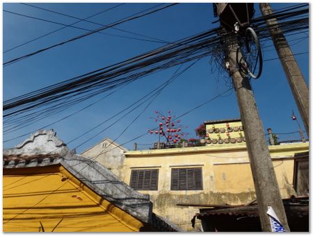 dsc02511.jpg Wilberth Alvarez-Solano, Vietnam, Cambodia, Laos, elephants