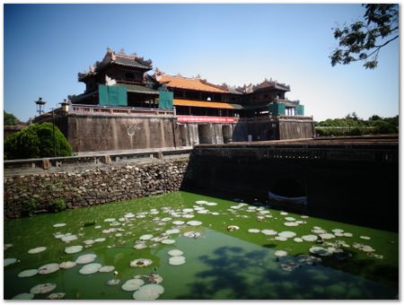 dsc02542.jpg Wilberth Alvarez-Solano, Vietnam, Cambodia, Laos, elephants