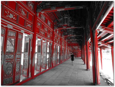 dsc02544.jpg Wilberth Alvarez-Solano, Vietnam, Cambodia, Laos, elephants