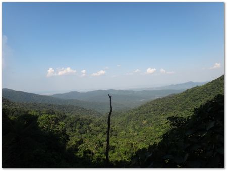 dsc02556.jpg Wilberth Alvarez-Solano, Vietnam, Cambodia, Laos, elephants