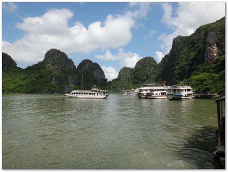 dsc02580.jpg Wilberth Alvarez-Solano, Vietnam, Cambodia, Laos, elephants