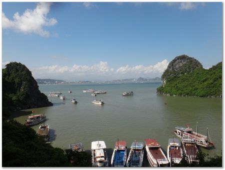 dsc02583.jpg Wilberth Alvarez-Solano, Vietnam, Cambodia, Laos, elephants
