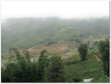dsc02595.jpg Wilberth Alvarez-Solano, Vietnam, Cambodia, Laos, elephants