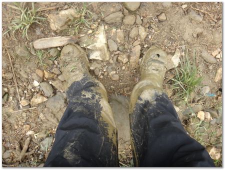 dsc02598.jpg Wilberth Alvarez-Solano, Vietnam, Cambodia, Laos, elephants