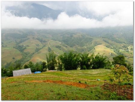 dsc02603.jpg Wilberth Alvarez-Solano, Vietnam, Cambodia, Laos, elephants