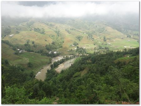 dsc02605.jpg Wilberth Alvarez-Solano, Vietnam, Cambodia, Laos, elephants