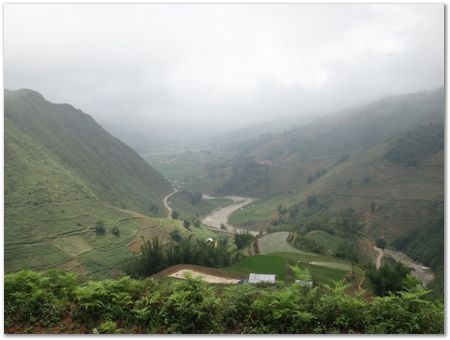 dsc02607.jpg Wilberth Alvarez-Solano, Vietnam, Cambodia, Laos, elephants