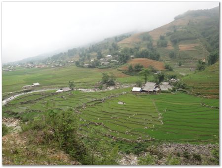 dsc02608.jpg Wilberth Alvarez-Solano, Vietnam, Cambodia, Laos, elephants