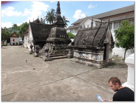 dsc02634.jpg Wilberth Alvarez-Solano, Vietnam, Cambodia, Laos, elephants