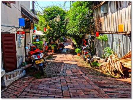 dsc02638.jpg Wilberth Alvarez-Solano, Vietnam, Cambodia, Laos, elephants