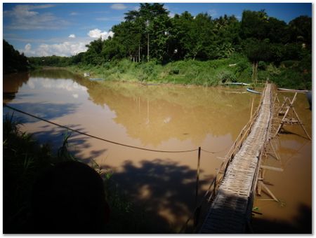 dsc02641.jpg Wilberth Alvarez-Solano, Vietnam, Cambodia, Laos, elephants