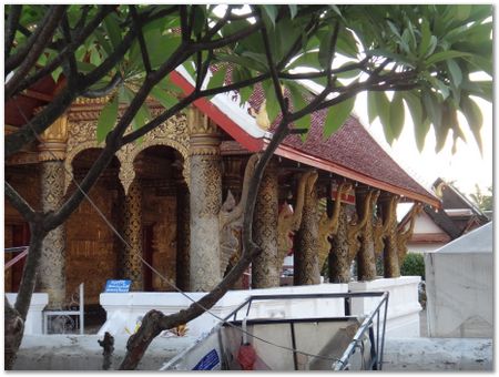 dsc02643.jpg Wilberth Alvarez-Solano, Vietnam, Cambodia, Laos, elephants