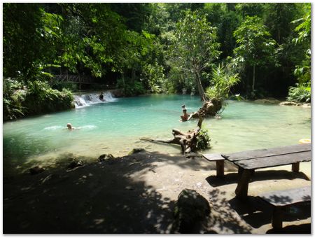 dsc02648.jpg Wilberth Alvarez-Solano, Vietnam, Cambodia, Laos, elephants