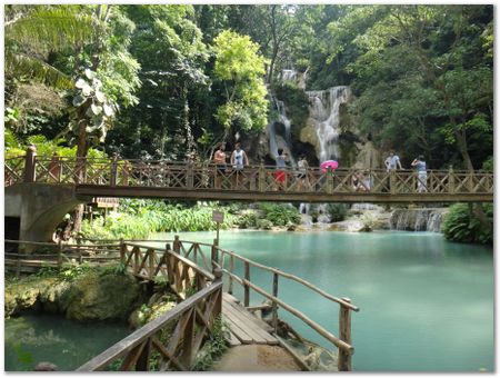 dsc02653.jpg Wilberth Alvarez-Solano, Vietnam, Cambodia, Laos, elephants
