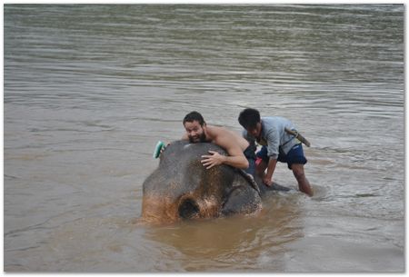 dsc_1499.jpg Wilberth Alvarez-Solano, Vietnam, Cambodia, Laos, elephants