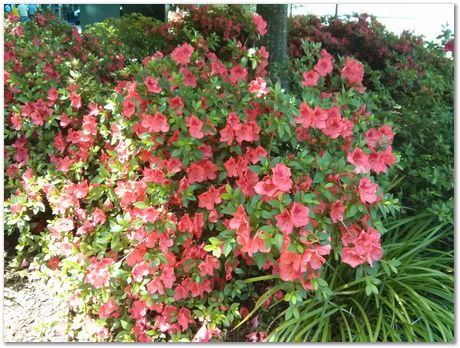 img_20160419_130618.jpg IFHTSE 2016, International Federation of Heat Treatment and Surface Engineering, Harry Bhadeshia